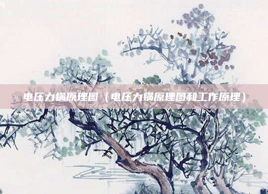 电压力锅原理图(电压力锅原理图和工作原理)