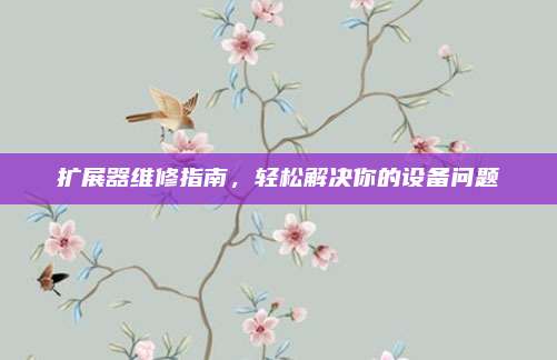 扩展器维修指南,轻松解决你的设备问题