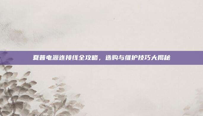 夏普电源连接线全攻略,选购与维护技巧大揭秘