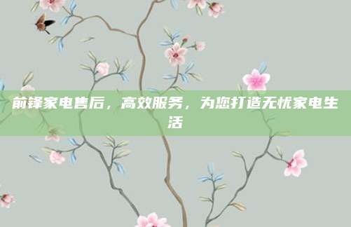 前锋家电售后,高效服务,为您打造无忧家电生活