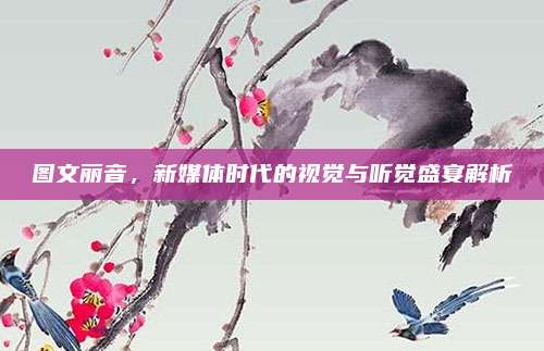 图文丽音,新媒体时代的视觉与听觉盛宴解析