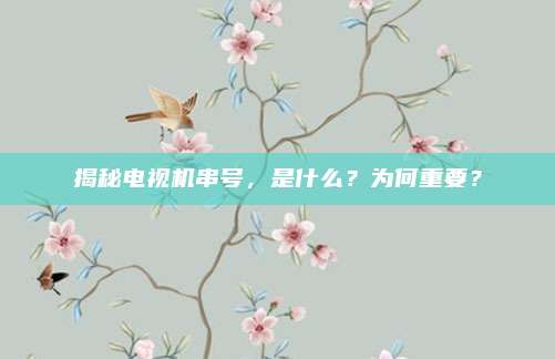 揭秘电视机串号,是什么?为何重要?