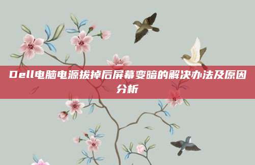 Dell电脑电源拔掉后屏幕变暗的解决办法及原因分析