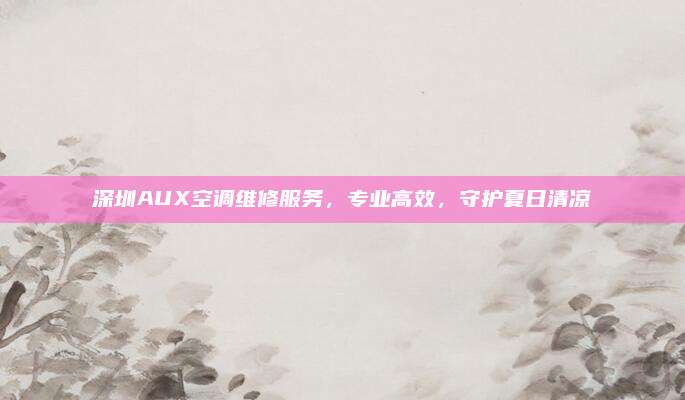 深圳AUX空调维修服务,专业高效,守护夏日清凉