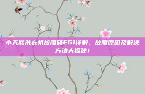 小天鹅洗衣机故障码E61详解,故障原因及解决方法大揭秘!