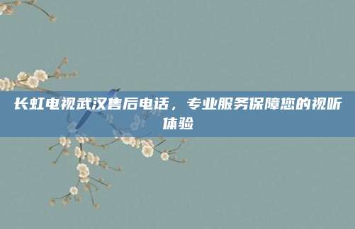 长虹电视武汉售后电话,专业服务保障您的视听体验