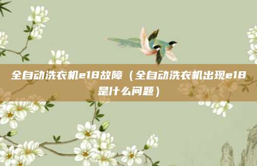 全自动洗衣机e18故障(全自动洗衣机出现e18是什么问题)