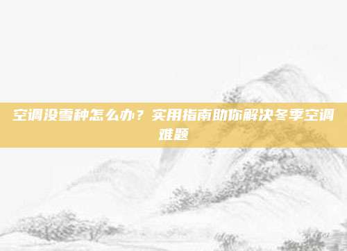 空调没雪种怎么办?实用指南助你解决冬季空调难题