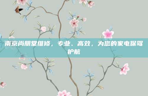南京尚朋堂维修,专业、高效,为您的家电保驾护航