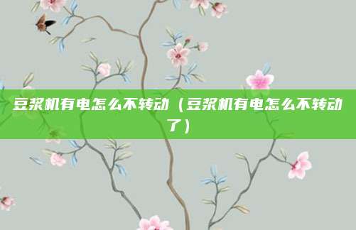 豆浆机有电怎么不转动(豆浆机有电怎么不转动了)