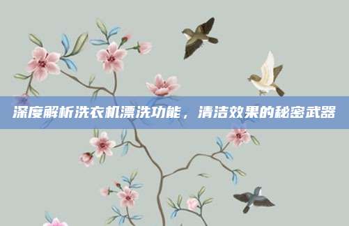 深度解析洗衣机漂洗功能,清洁效果的秘密武器