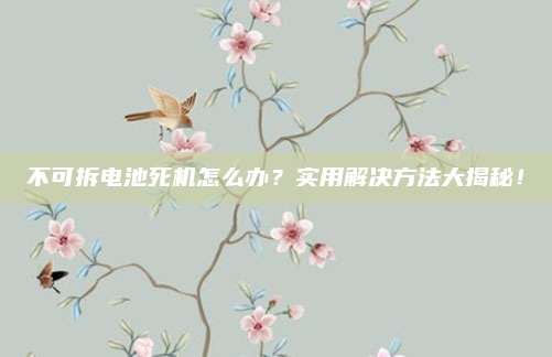 不可拆电池死机怎么办?实用解决方法大揭秘!
