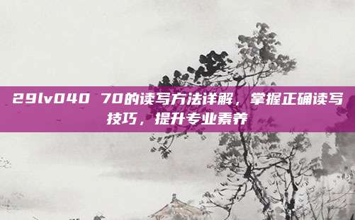 29lv040 70的读写方法详解,掌握正确读写技巧,提升专业素养