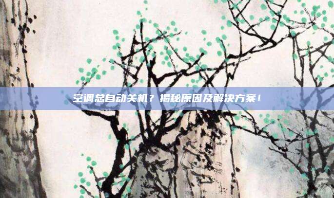 空调总自动关机?揭秘原因及解决方案!