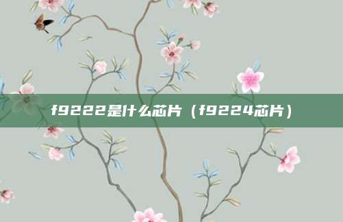 f9222是什么芯片(f9224芯片)