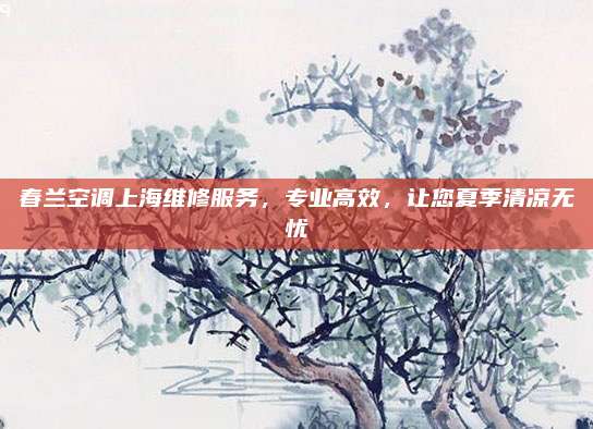 春兰空调上海维修服务,专业高效,让您夏季清凉无忧