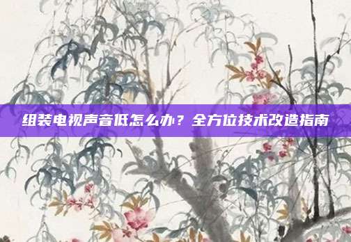 组装电视声音低怎么办?全方位技术改造指南