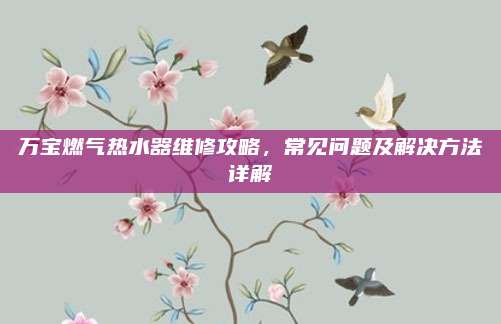 万宝燃气热水器维修攻略,常见问题及解决方法详解