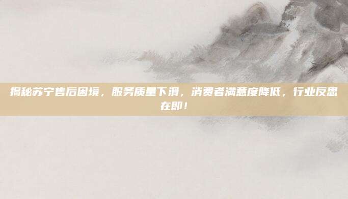 揭秘苏宁售后困境,服务质量下滑,消费者满意度降低,行业反思在即!
