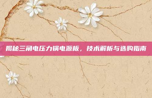揭秘三角电压力锅电源板,技术解析与选购指南