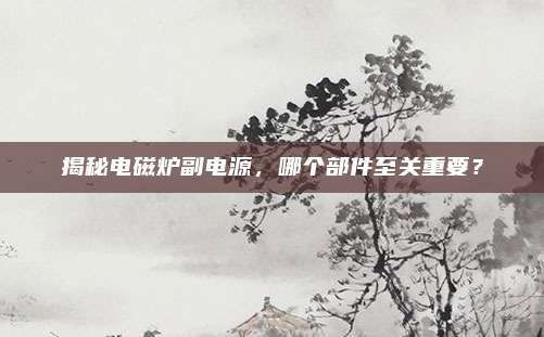 揭秘电磁炉副电源,哪个部件至关重要?
