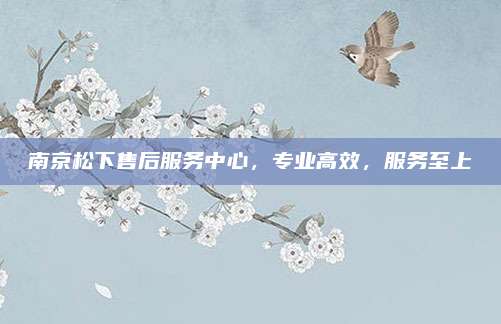 南京松下售后服务中心,专业高效,服务至上