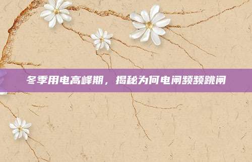 冬季用电高峰期,揭秘为何电闸频频跳闸