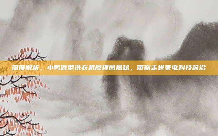 深度解析,小鸭微型洗衣机原理图揭秘,带你走进家电科技前沿