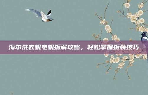 海尔洗衣机电机拆解攻略,轻松掌握拆装技巧