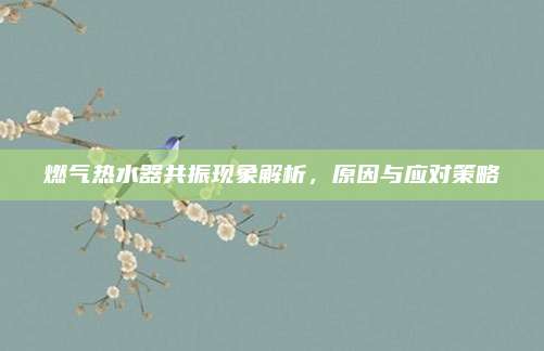 燃气热水器共振现象解析,原因与应对策略