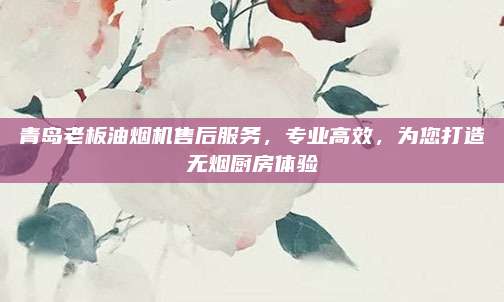 青岛老板油烟机售后服务,专业高效,为您打造无烟厨房体验