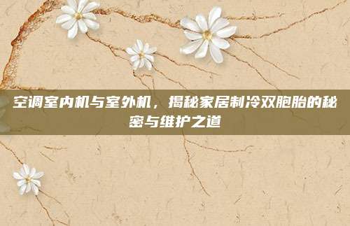空调室内机与室外机,揭秘家居制冷双胞胎的秘密与维护之道
