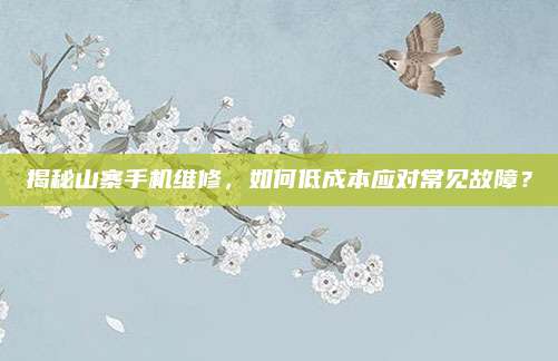 揭秘山寨手机维修,如何低成本应对常见故障?