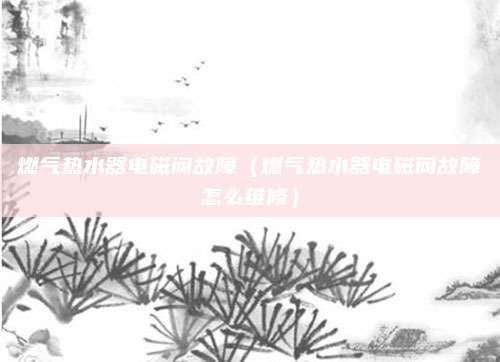 燃气热水器电磁阀故障（燃气热水器电磁阀故障怎么维修）