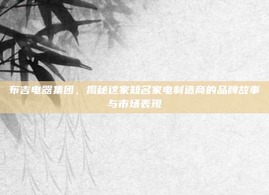 布吉电器集团,揭秘这家知名家电制造商的品牌故事与市场表现