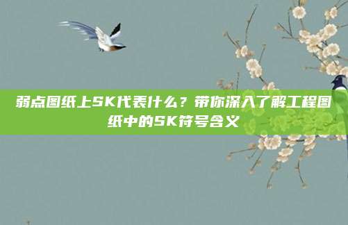弱点图纸上SK代表什么?带你深入了解工程图纸中的SK符号含义