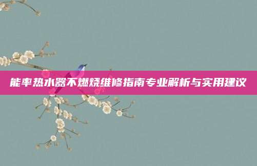 能率热水器不燃烧维修指南专业解析与实用建议