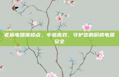 老板电器维修点,专业高效,守护您的厨房电器安全