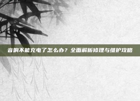 音响不能充电了怎么办?全面解析修理与维护攻略
