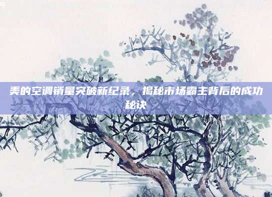 美的空调销量突破新纪录,揭秘市场霸主背后的成功秘诀