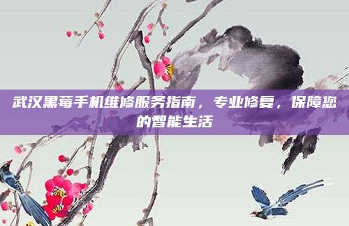武汉黑莓手机维修服务指南,专业修复,保障您的智能生活