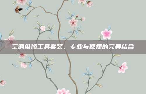 空调维修工具套装,专业与便捷的完美结合