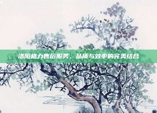 洛阳格力售后服务,品质与效率的完美结合