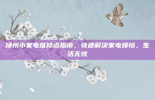 扬州小家电维修点指南,快速解决家电烦恼,生活无忧