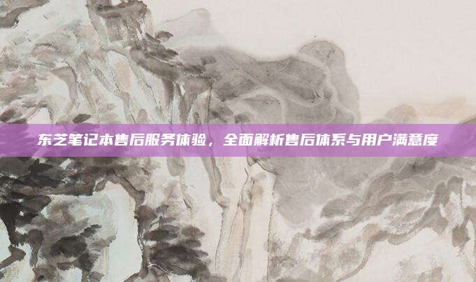 东芝笔记本售后服务体验,全面解析售后体系与用户满意度