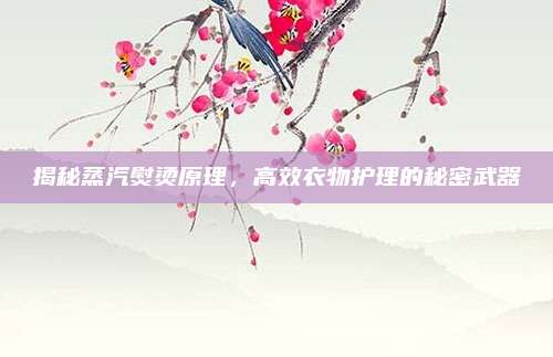 揭秘蒸汽熨烫原理,高效衣物护理的秘密武器
