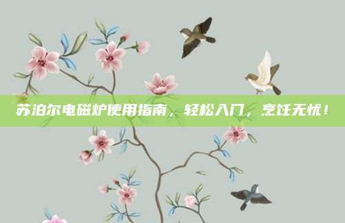 苏泊尔电磁炉使用指南,轻松入门,烹饪无忧!