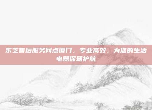 东芝售后服务网点厦门,专业高效,为您的生活电器保驾护航