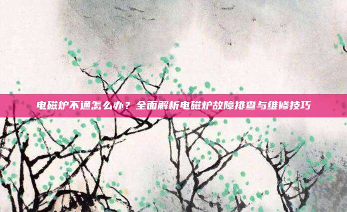 电磁炉不通怎么办?全面解析电磁炉故障排查与维修技巧