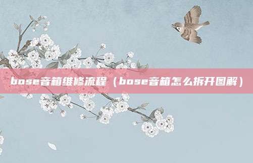 bose音箱维修流程(bose音箱怎么拆开图解)